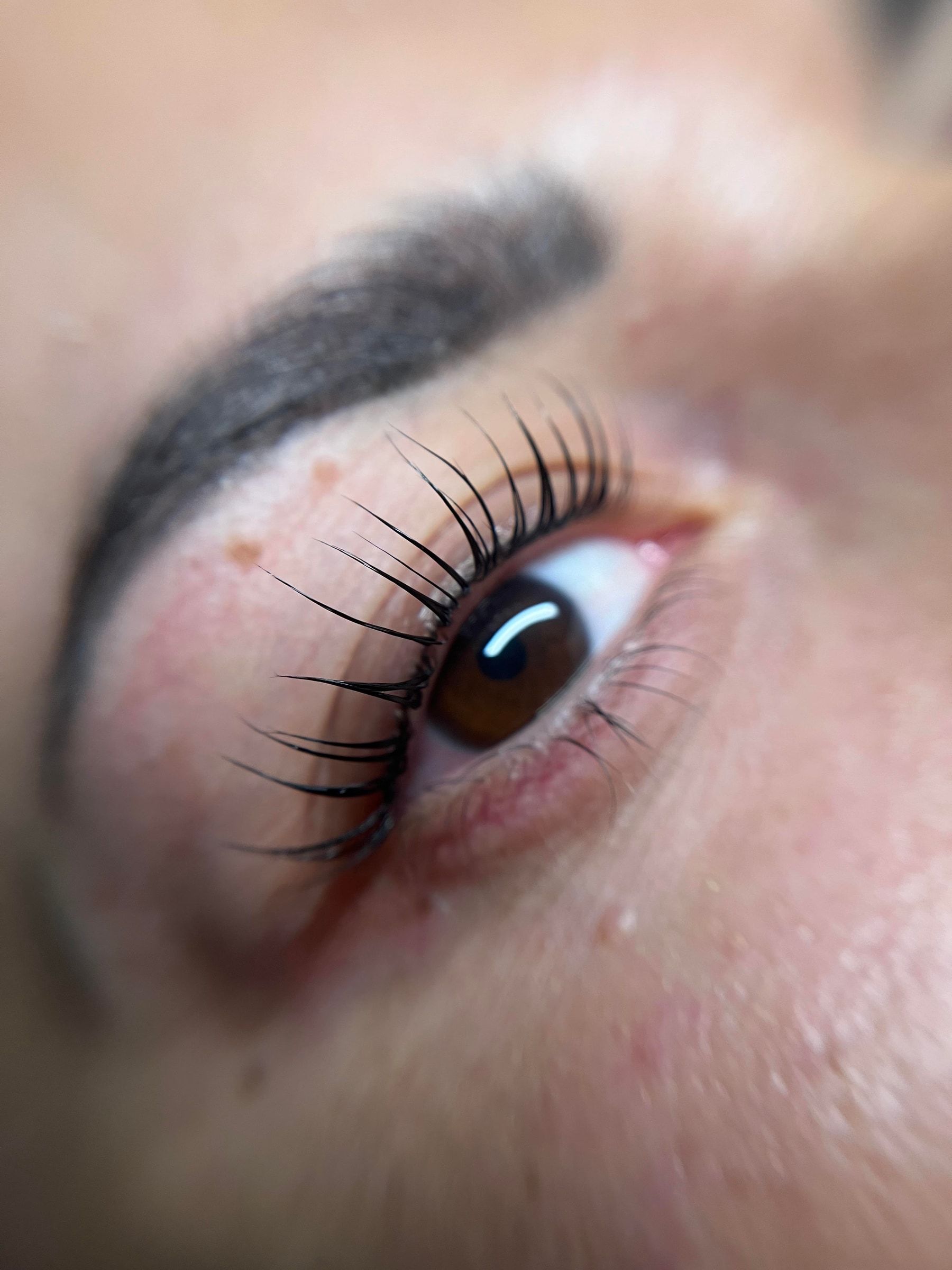 Geliftete Wimpern über einem braunen Auge, Blick nach oben