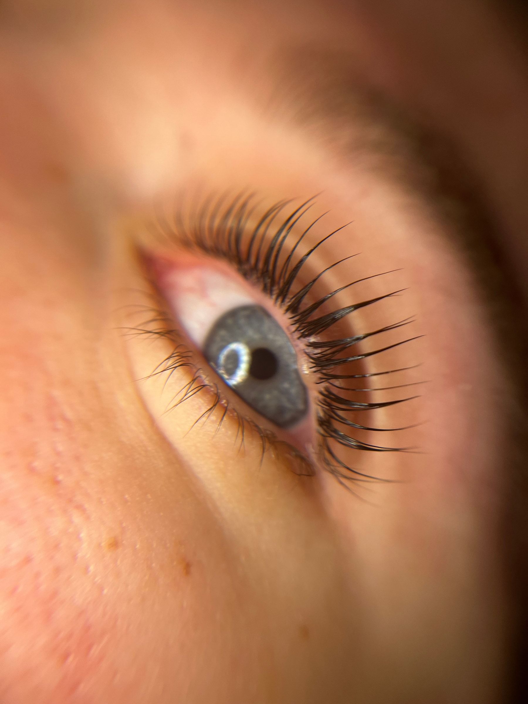 Geliftete Wimpern über einem blaugrauen Auge, Blick nach oben
