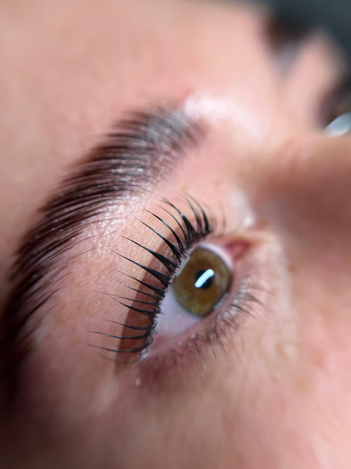 Geliftete Wimpern und hochgestylte Brauen über einem braungrünen Auge